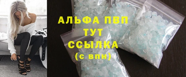 ПСИЛОЦИБИНОВЫЕ ГРИБЫ Вязники