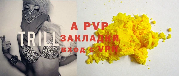 ECSTASY Вяземский