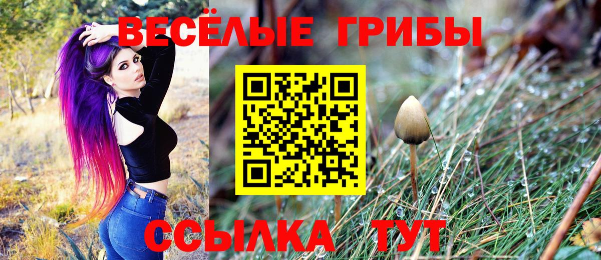 Хабаровск  Псилоцибиновые грибы GOLDEN TEACHER  Галлюциногенные грибы мухоморы  Вход с VPN 